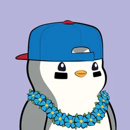 Senorkek